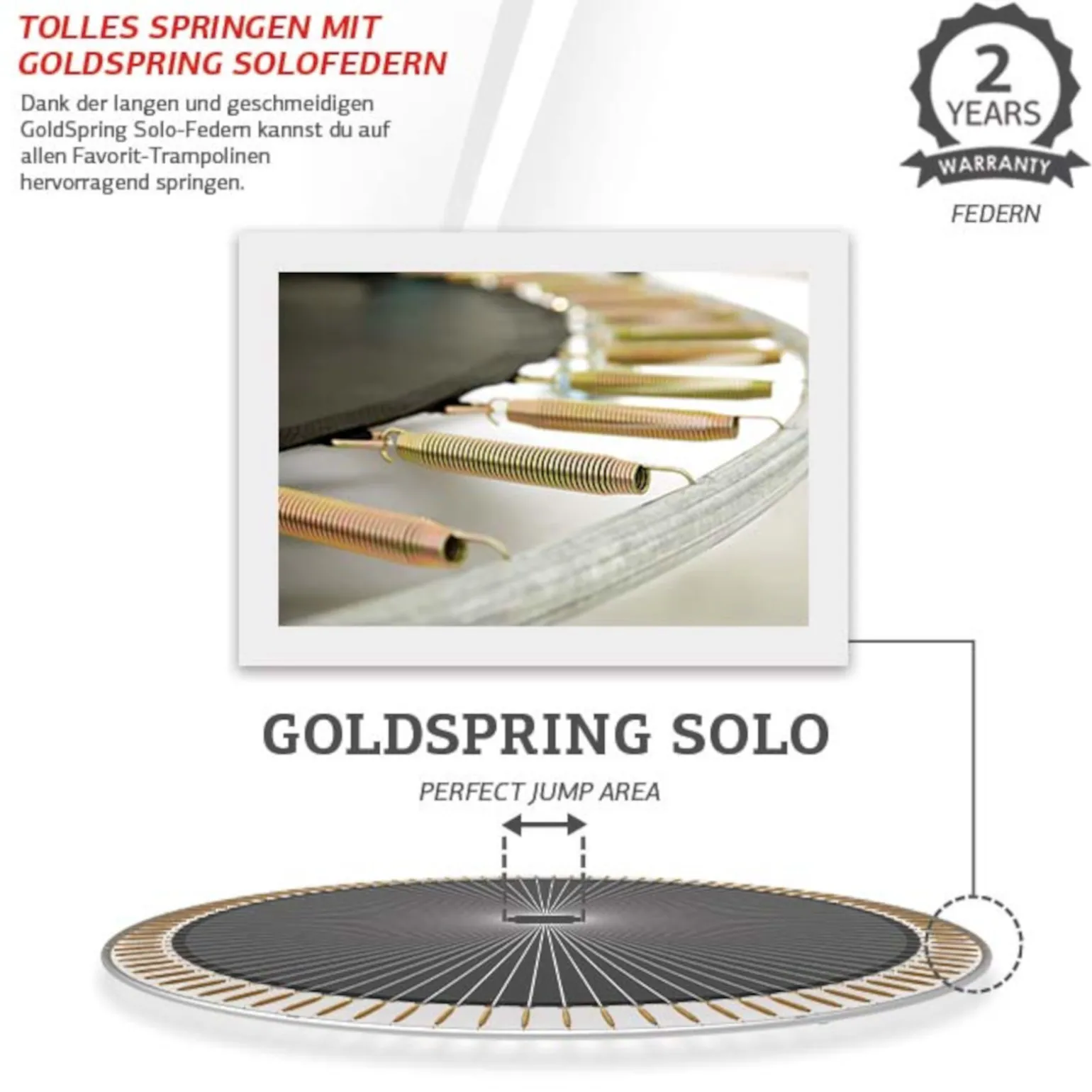 Berg Trampolin InGround Favorit Sports