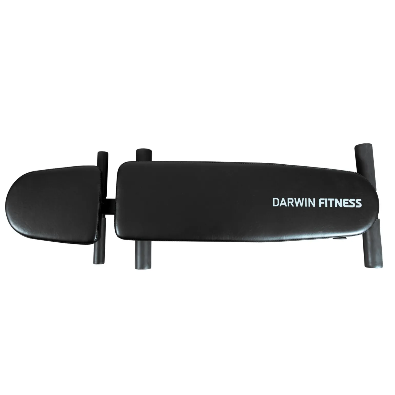Darwin Hantelbank FB50