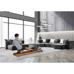 Fluid Rower Rudergerät Apollo Pro V