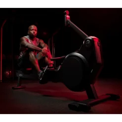Life Fitness Rudergerät Heat Performance