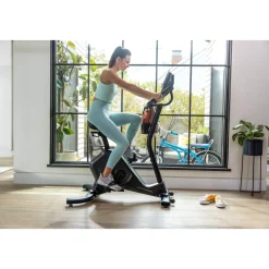 Schwinn Ergometer 590U