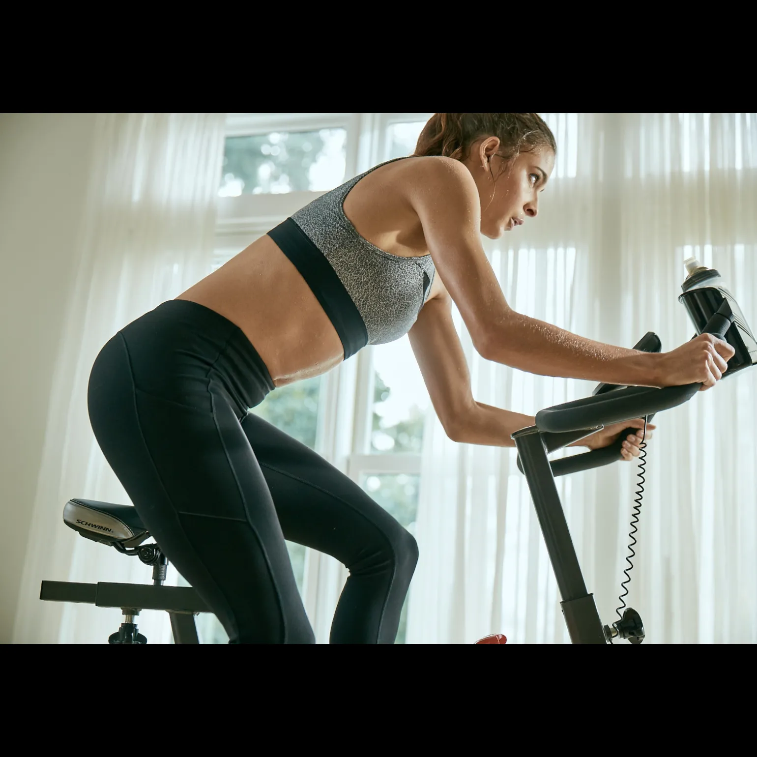 Schwinn Speedbike 700IC