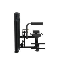 Taurus Back Extension IT95