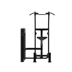 Taurus Weight Assisted Chin-Dip Combo IT95