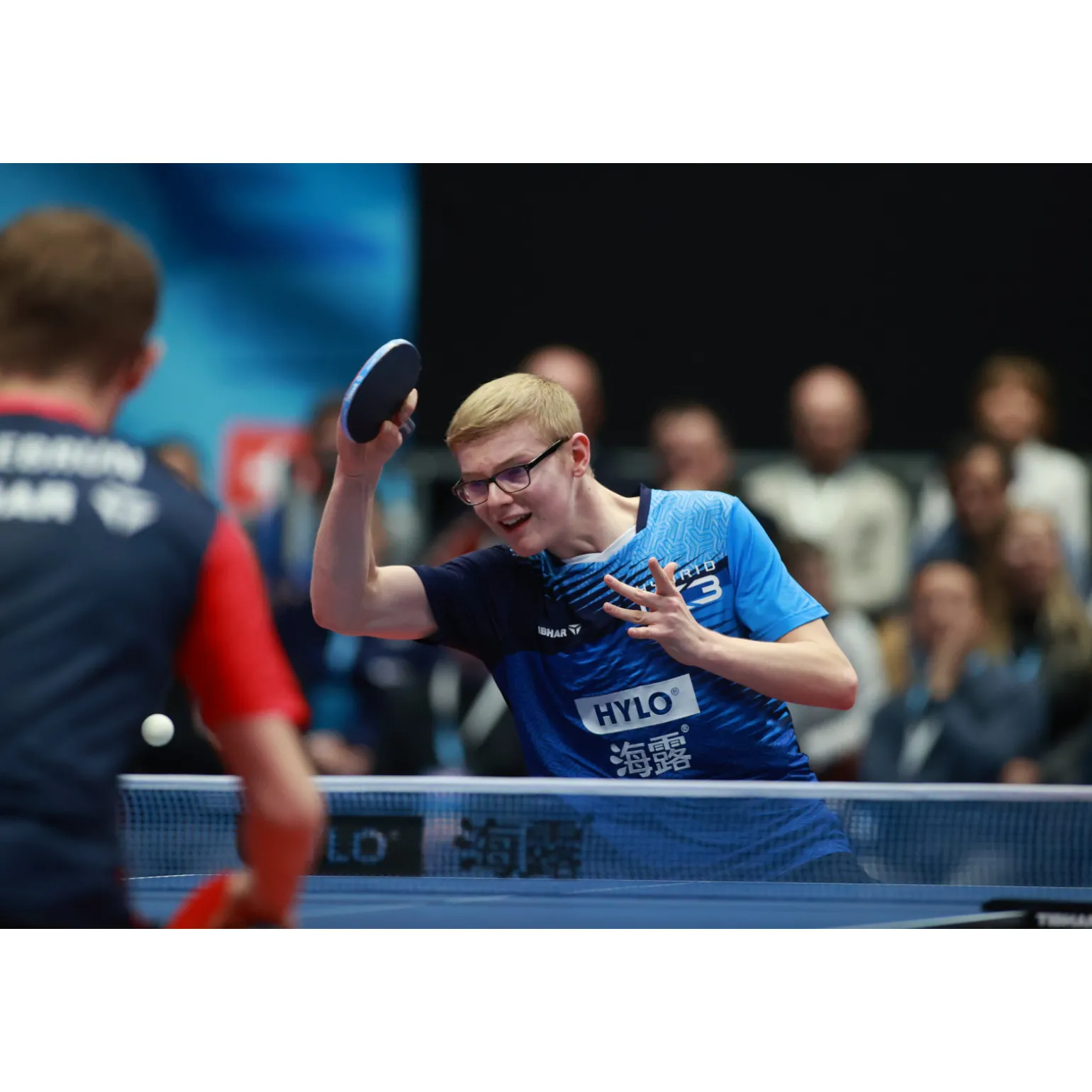 Tibhar Tischtennisschläger Master Felix Lebrun